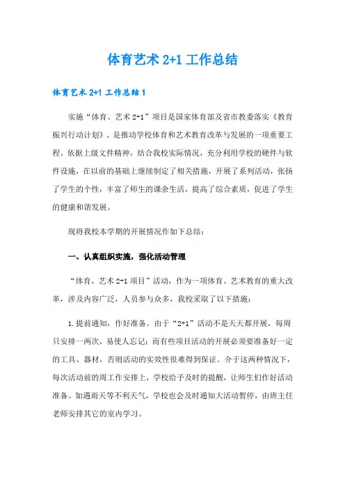 体育艺术2+1工作总结