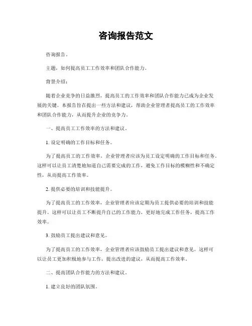 咨询报告范文