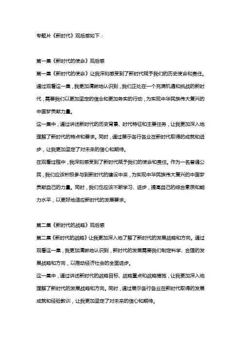 专题片新时代每一集观后感