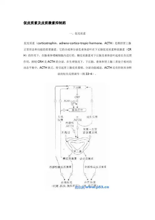 下丘脑-垂体前叶-肾上腺皮质的调节系统示意图