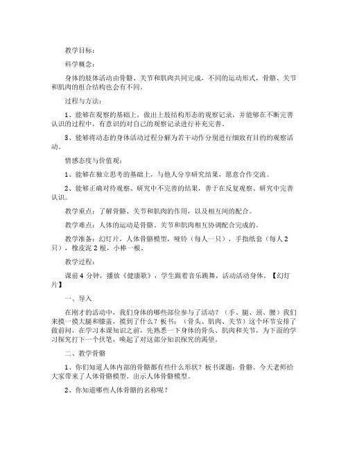 骨骼关节和肌肉教案