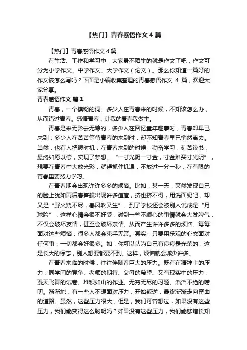 【热门】青春感悟作文4篇