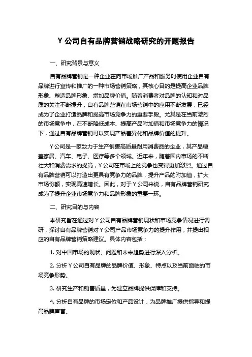 Y公司自有品牌营销战略研究的开题报告