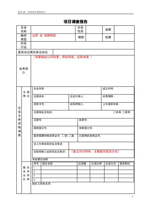 担保项目调查报告(模板)