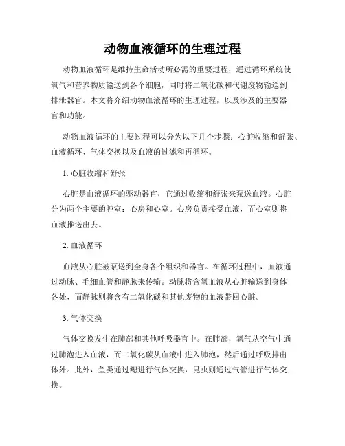 动物血液循环的生理过程