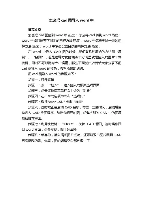 怎么把cad图导入word中