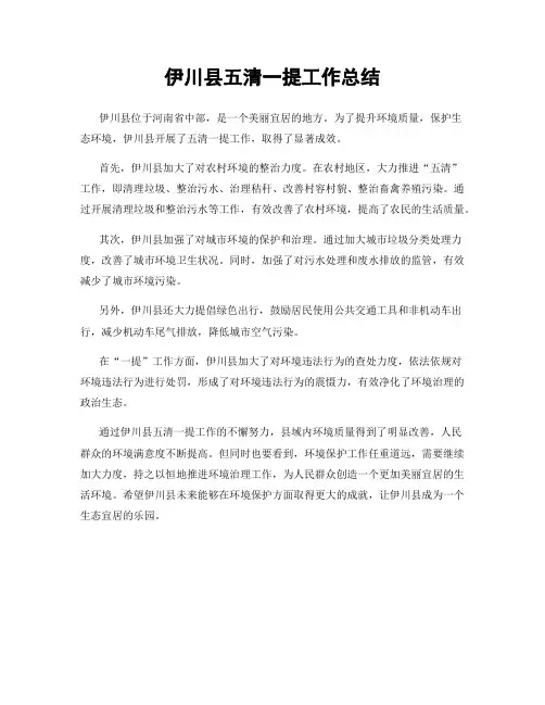 伊川县五清一提工作总结