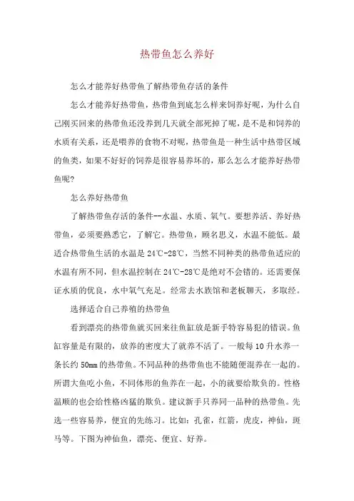 热带鱼怎么养好