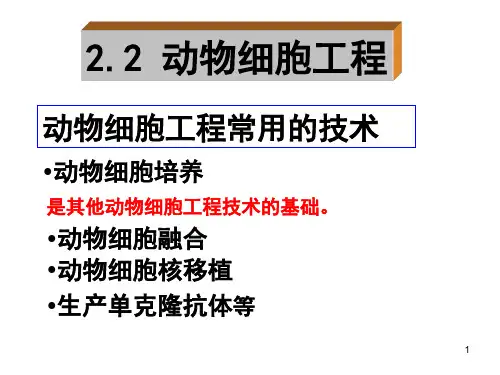 动物细胞培养和核移植技术ppt课件