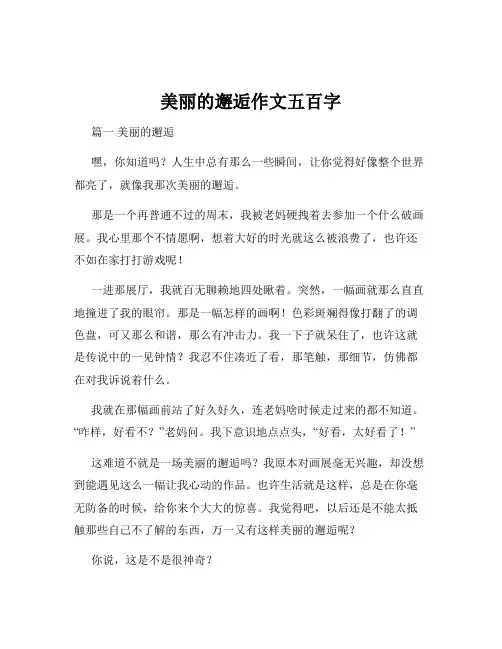美丽的邂逅作文五百字