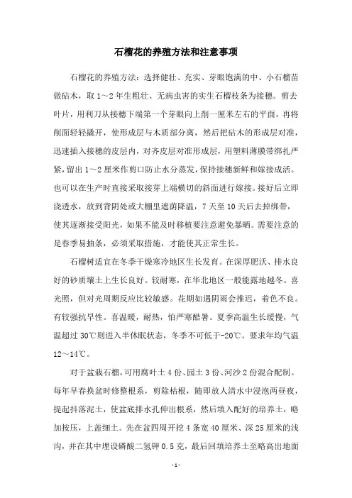 石榴花的养殖方法和注意事项