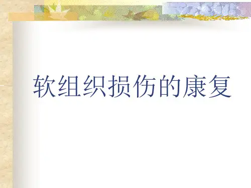 《软组织损伤的康复》PPT课件