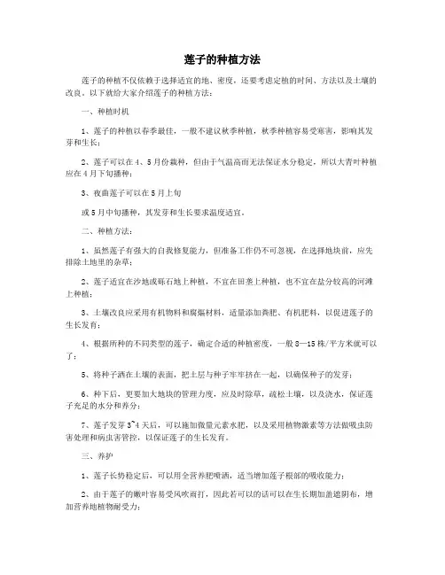 莲子的种植方法