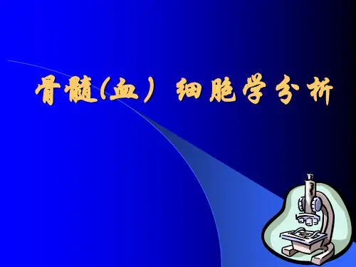 血象和骨髓象PPT精选课件