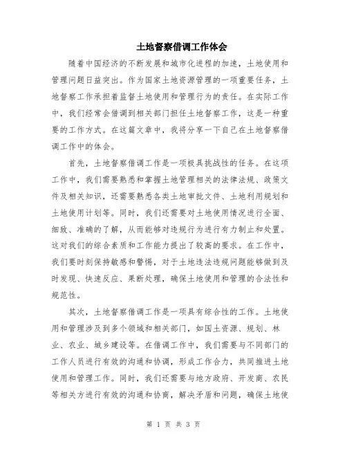 土地督察借调工作体会