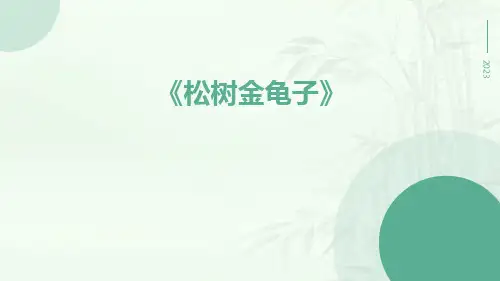 松树金龟子