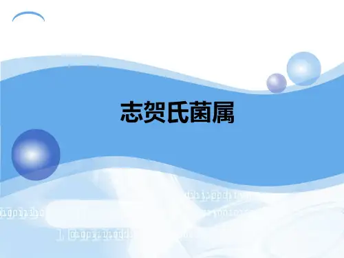 食品中志贺氏菌检验