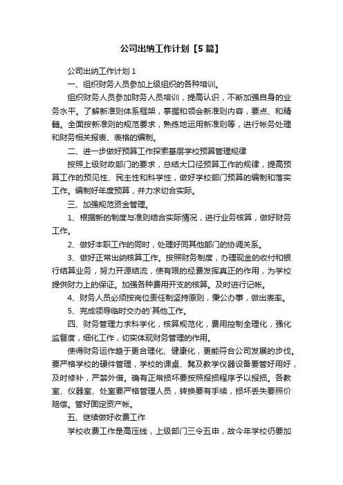 公司出纳工作计划【5篇】