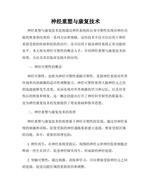 神经重塑与康复技术