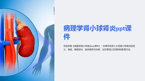 病理学肾小球肾炎课件