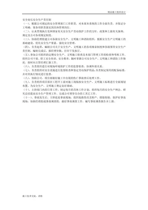 安全处长安全生产责任制.doc