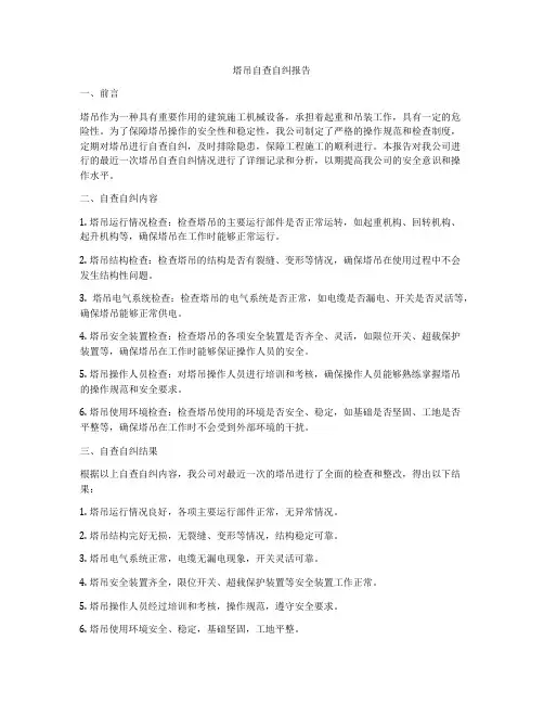 塔吊自查自纠报告