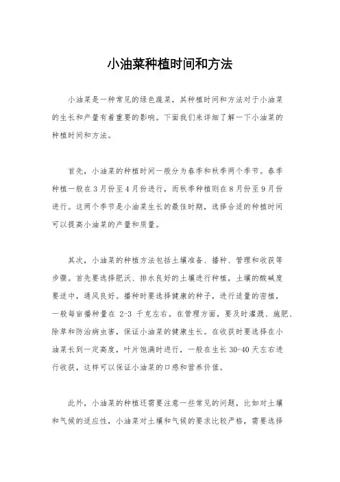 小油菜种植时间和方法