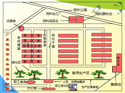 各大猪场平面设计图!!!