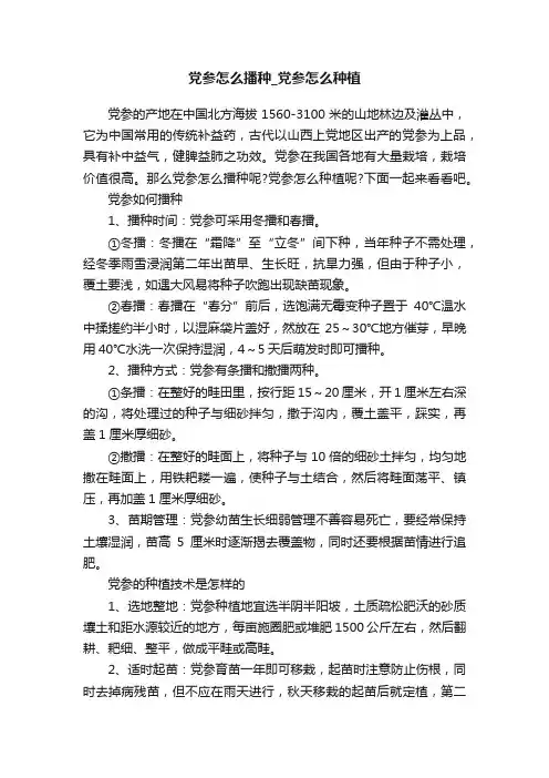 党参怎么播种_党参怎么种植