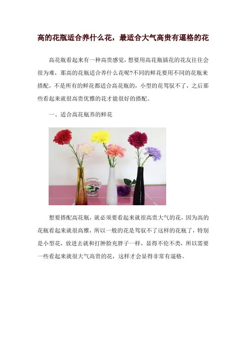 高的花瓶适合养什么花,最适合大气高贵有逼格的花