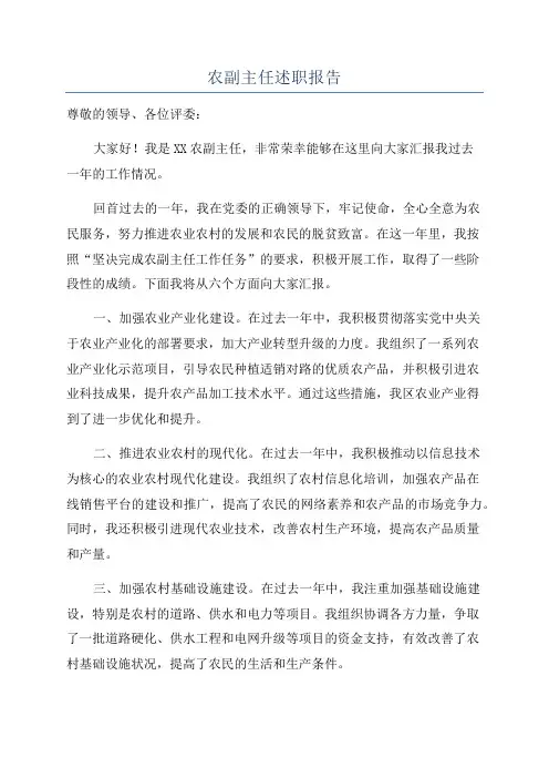 农副主任述职报告