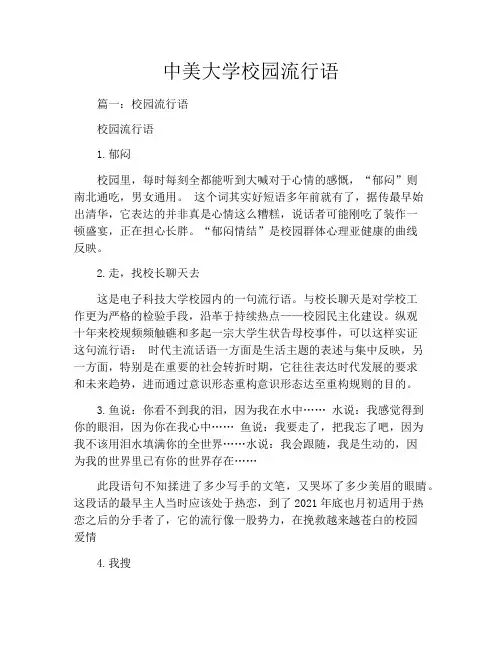 中美大学校园流行语