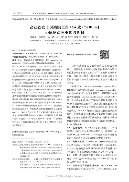 高盐饮食上调跨膜蛋白16A致C57BL／6J小鼠脑动脉重构的机制
