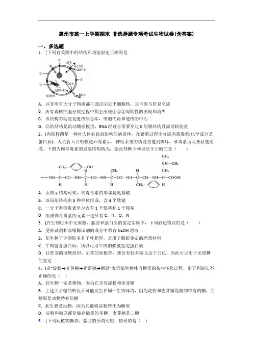 惠州市高一上学期期末 非选择题专项考试生物试卷(含答案)