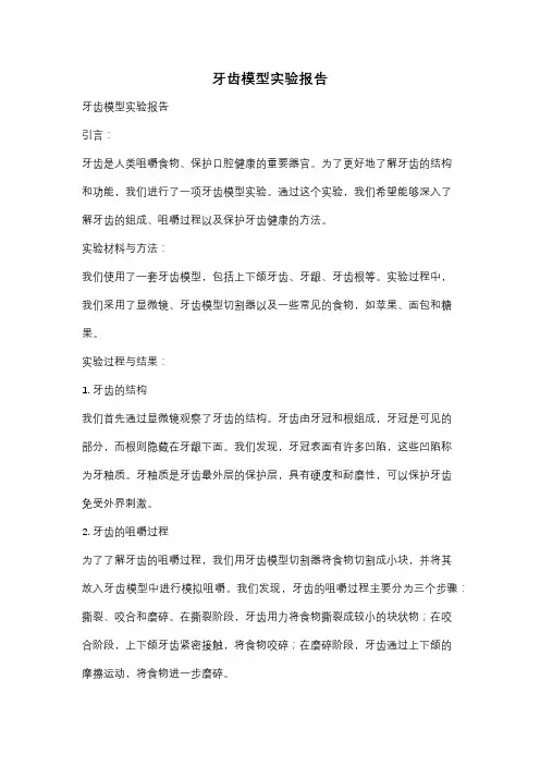 牙齿模型实验报告