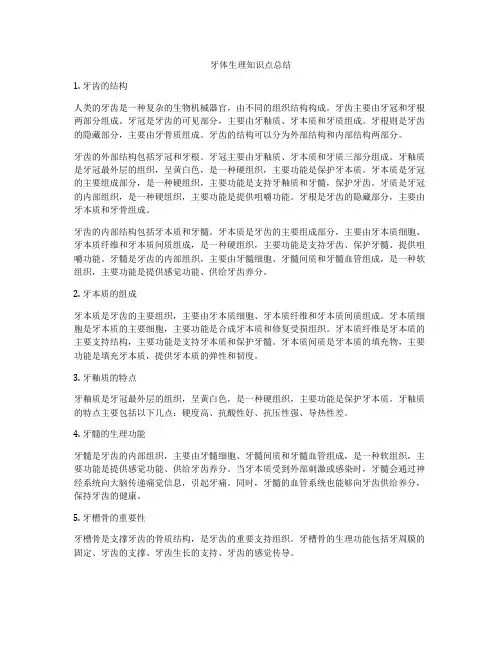 牙体生理知识点总结