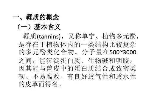 天然药物化学作业