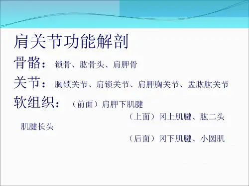 肩关节检查方法ppt课件