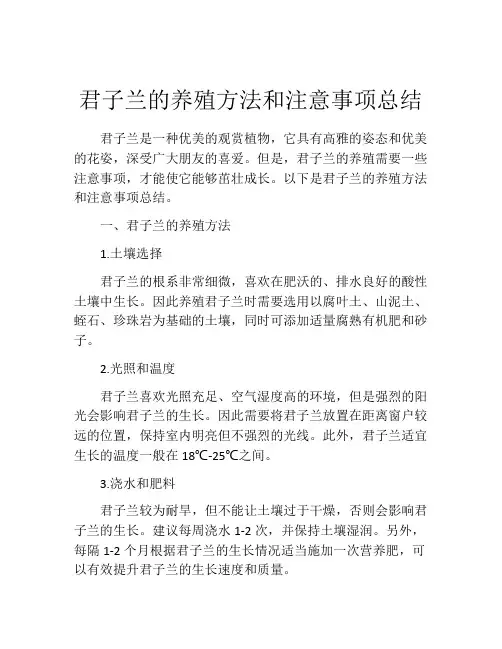 君子兰的养殖方法和注意事项总结