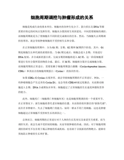细胞周期调控与肿瘤形成的关系