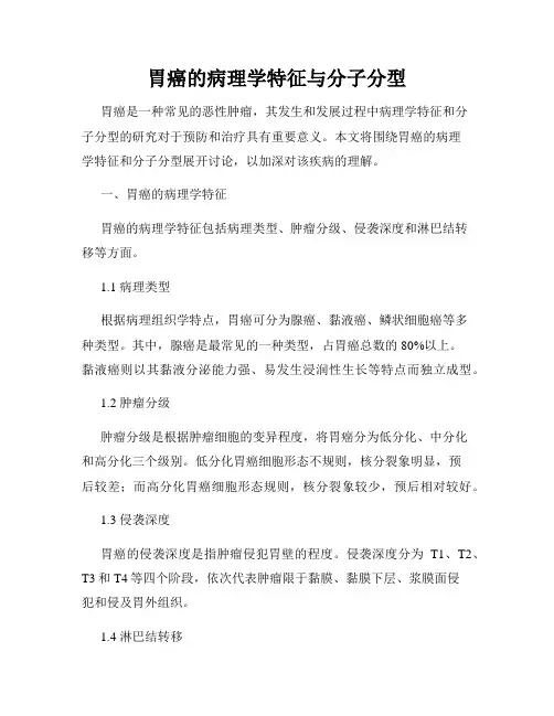 胃癌的病理学特征与分子分型