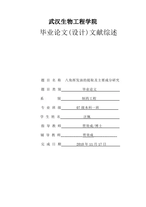 汪佩—文献综述