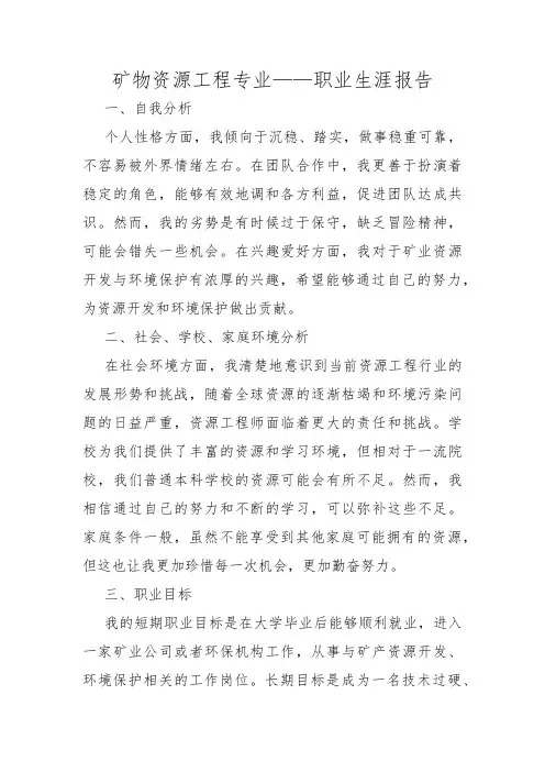 矿物资源工程专业——职业生涯报告
