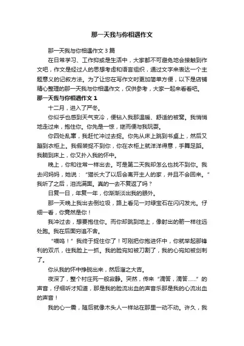 那一天我与你相遇作文