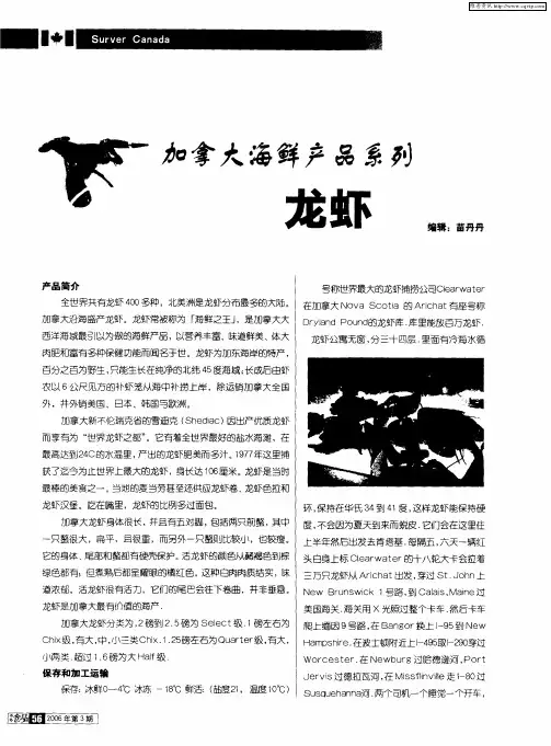 加拿大海鲜产品系列——龙虾