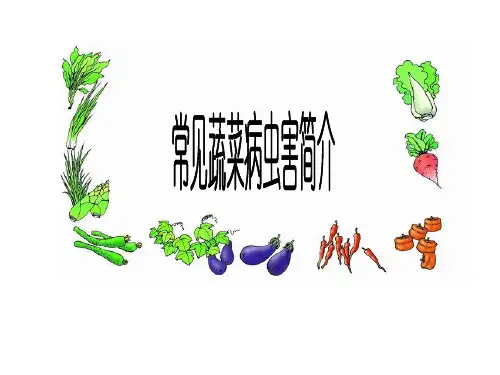 蔬菜常见病虫害识别与防治