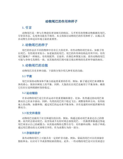 动物尾巴的作用和样子