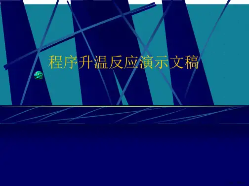 程序升温反应演示文稿