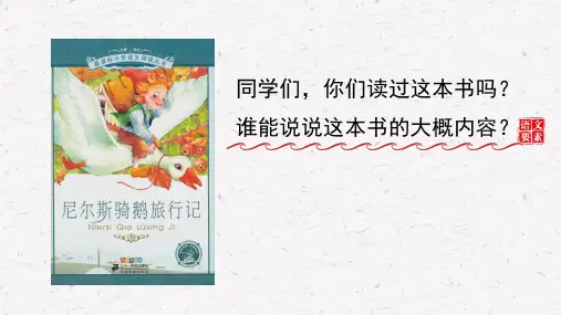 部编人教版六年级语文下册第6课《骑鹅旅行记(节选)》精品课件(56页)