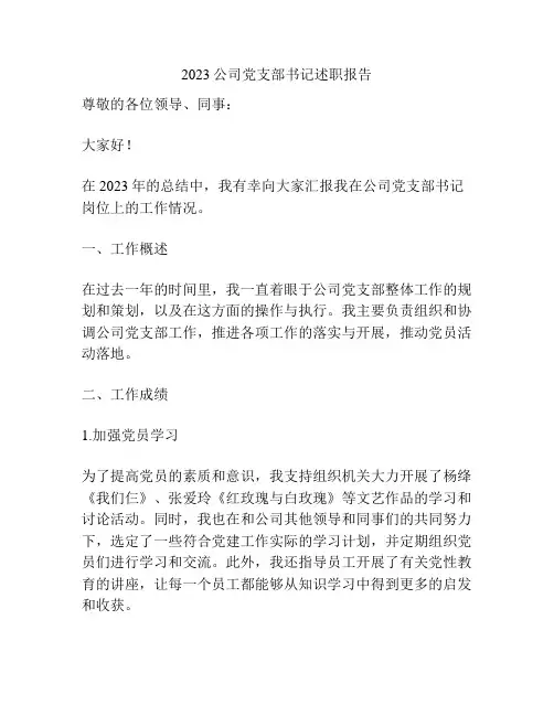 2023公司党支部书记述职报告